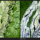 Illustration for article titled Water On Earth: Floods, Droughts And Prediction
